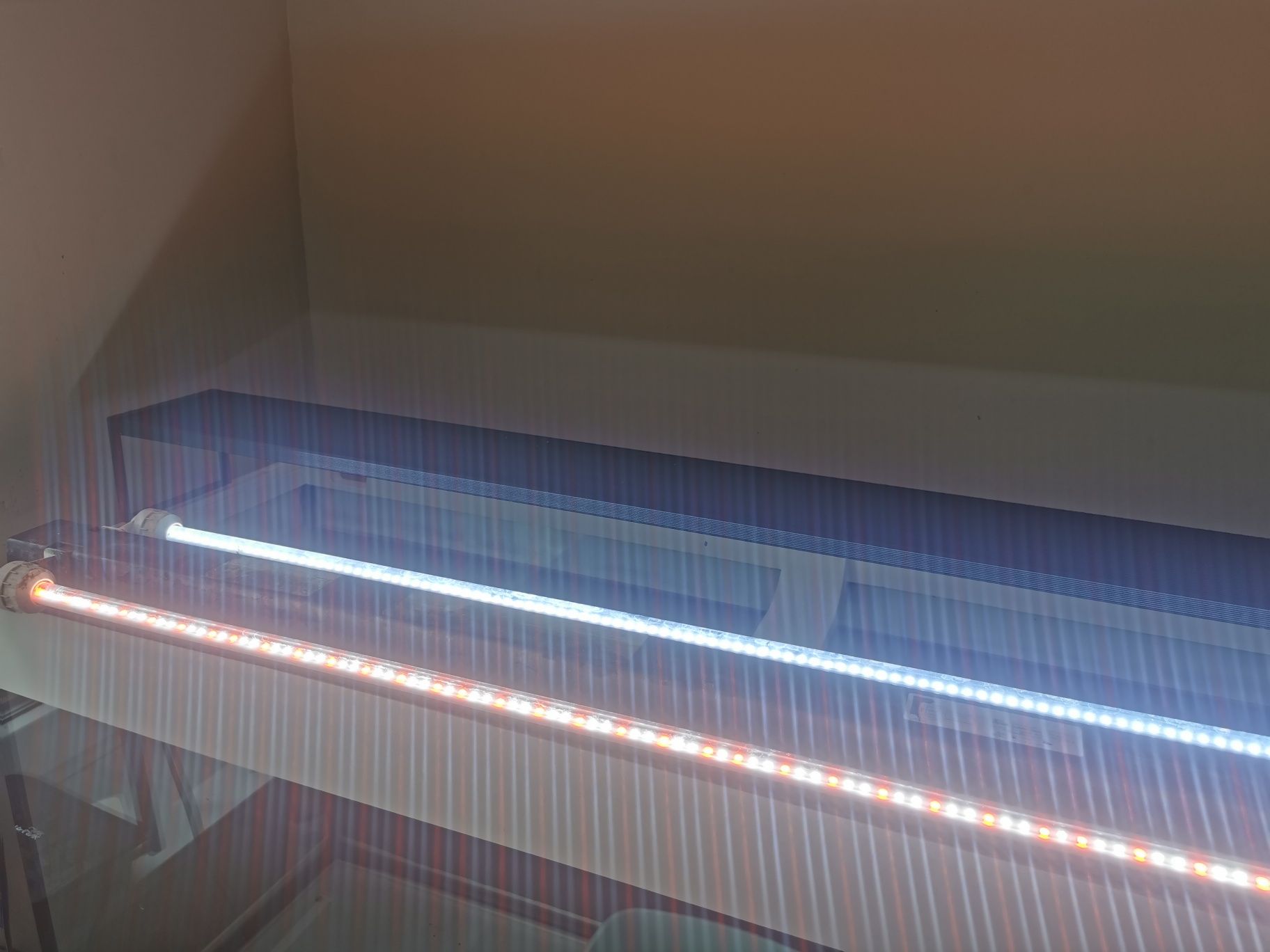 Juwel MultiLux Colour LED Świetlówka 1047mm 21W do akwarium
