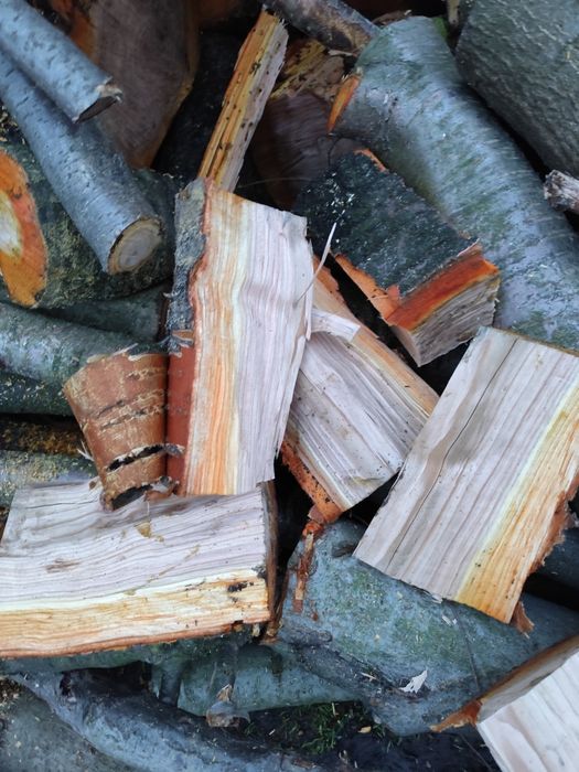 Drewno opałowe czereśnia do wędzenia