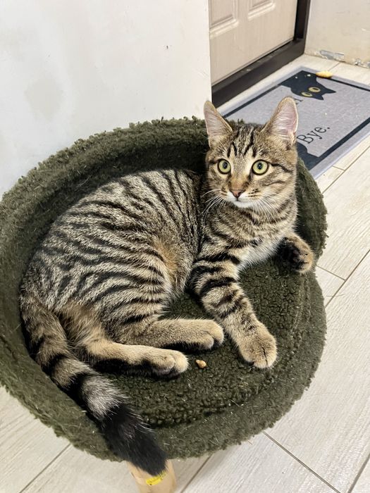 Мальчик 5 мес привит