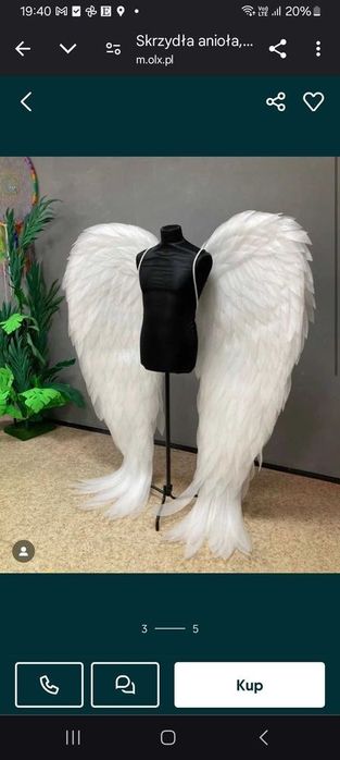 Duże białe skrzydła