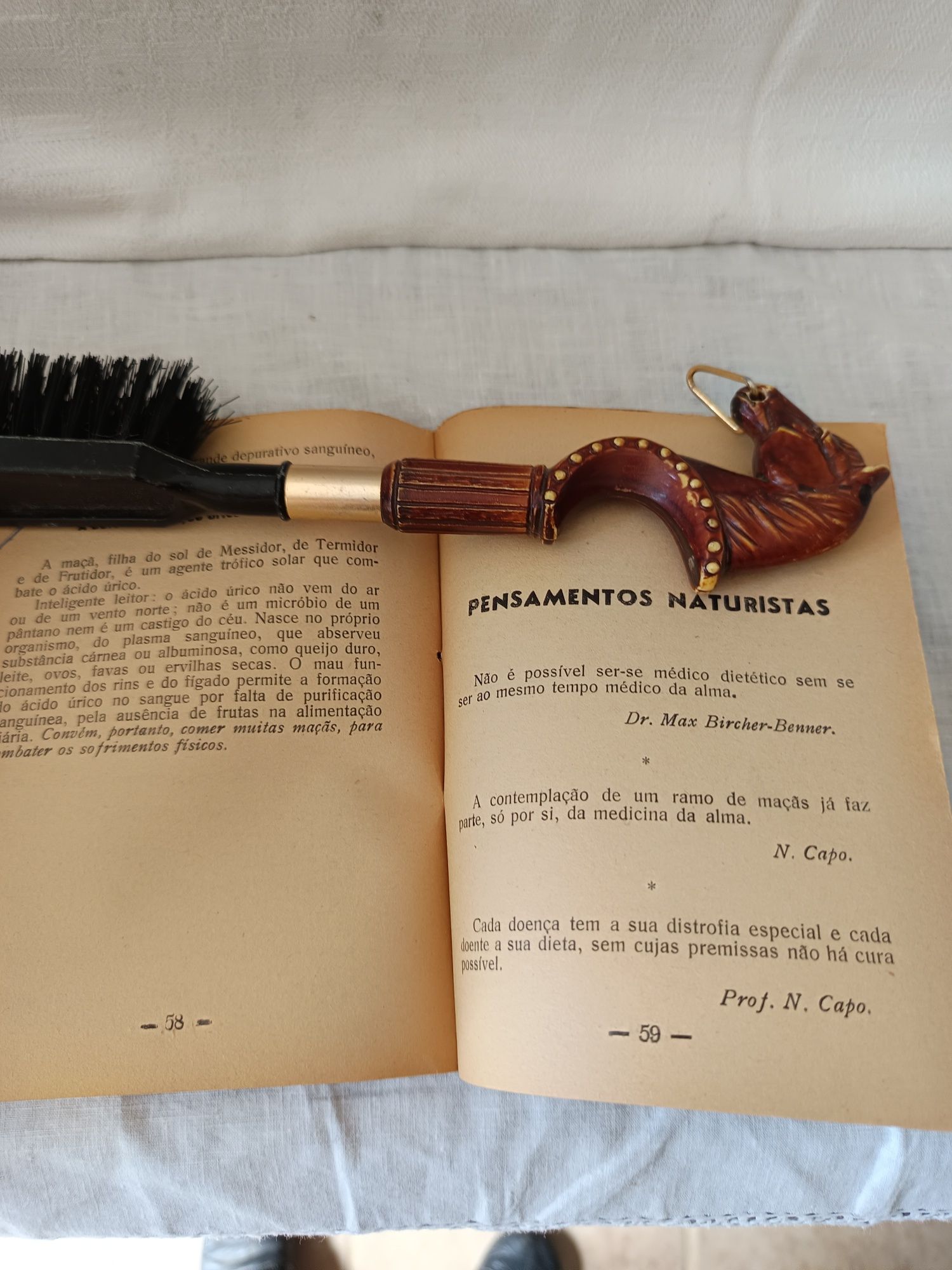 Livro antigo naturopatia "A maçã Salvação dos  doentes"Nicolas Capo.