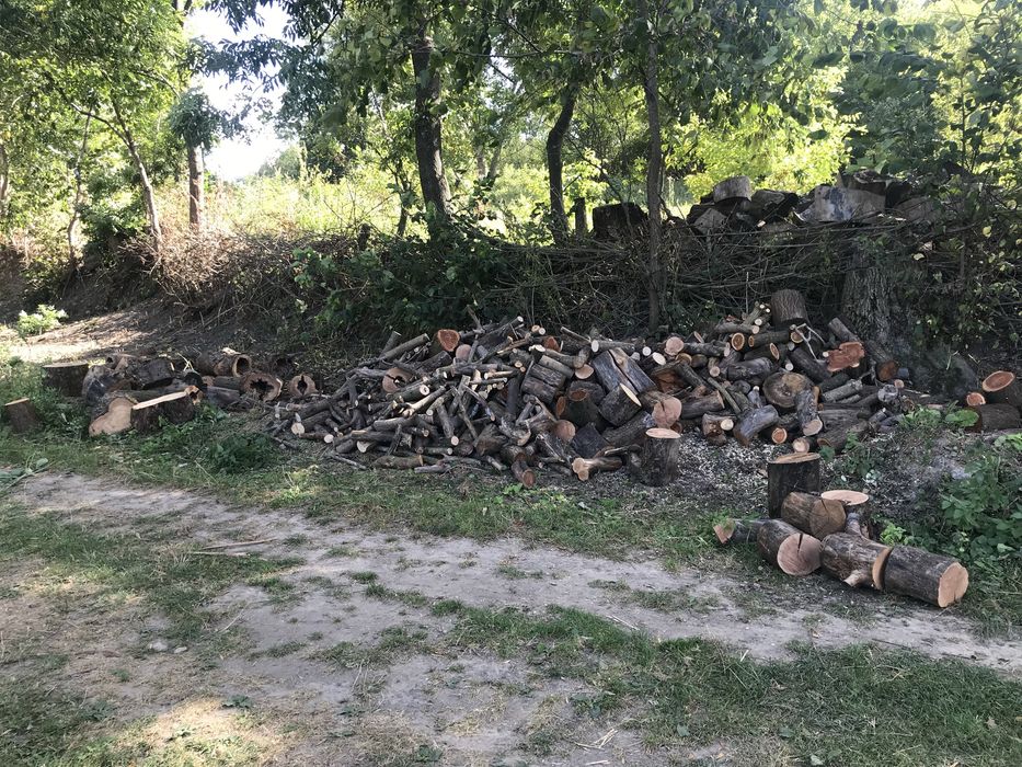 Порізка дров бензопилою • Виїзд • Швидко й акуратно