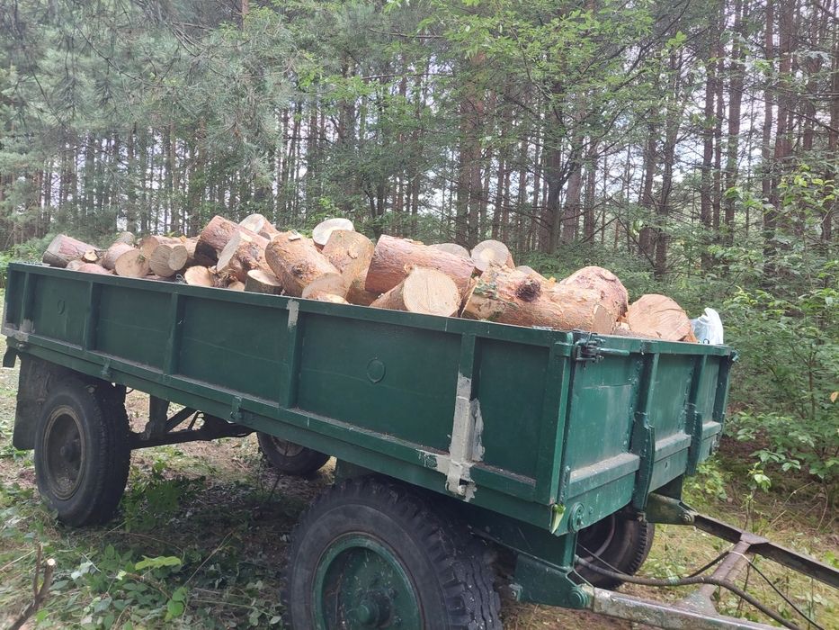 Drzewo opałowe  pocięte