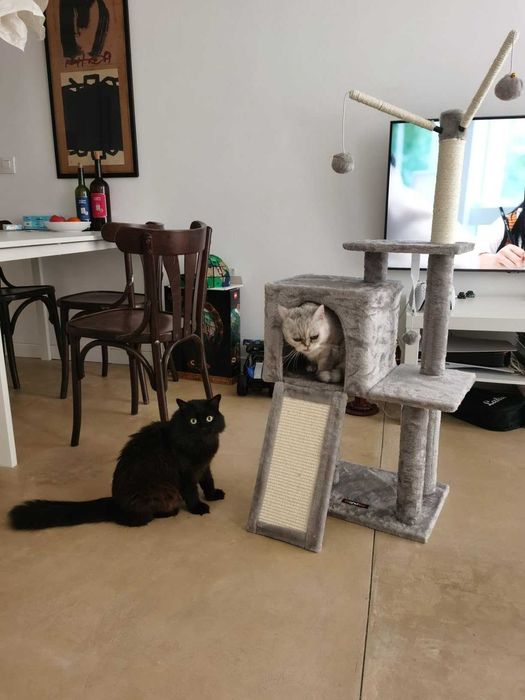 Drapak legowisko domek wysoki dla kota słupek do drapania NOWY 118 cm