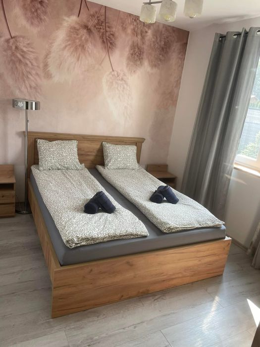 Kawalerskie/Panieńskie pod laskiem Okuninki Na Skraju Lasu
