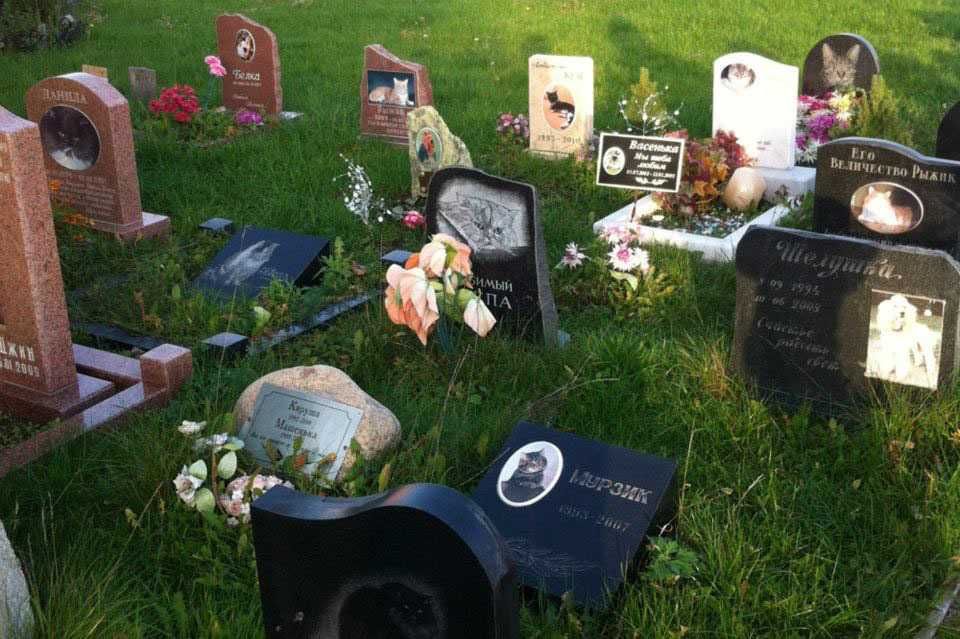 Виготовлення пам'ятників для тварин в Луцьку