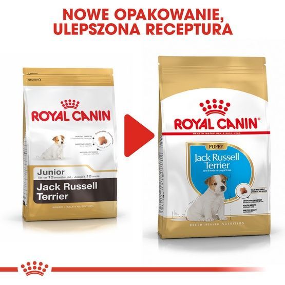 Karma z witaminami dla szczeniąt Jack Russell Terrier Royal Canin 500g