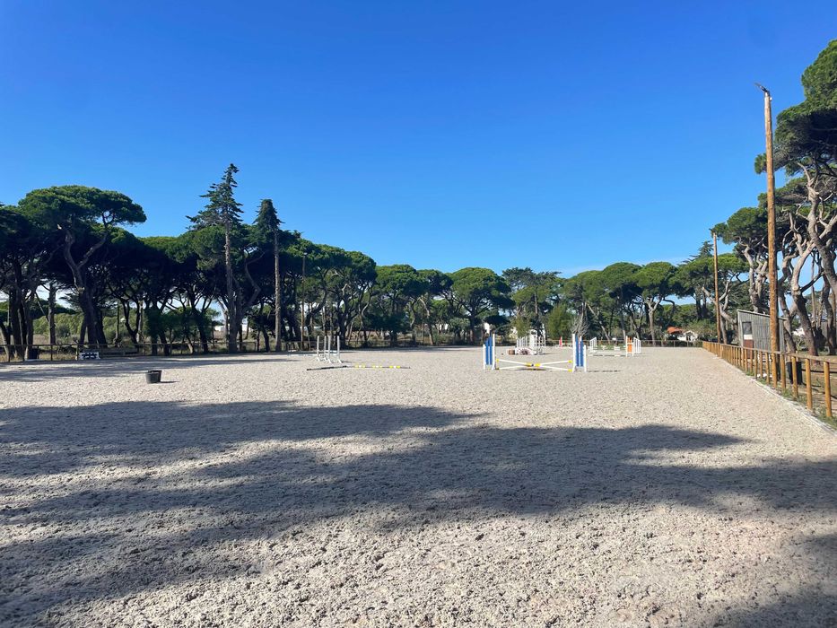 Horse livery boxes available - Quinta da Marinha, Cascais