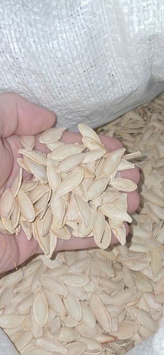 Насіння гарбузове