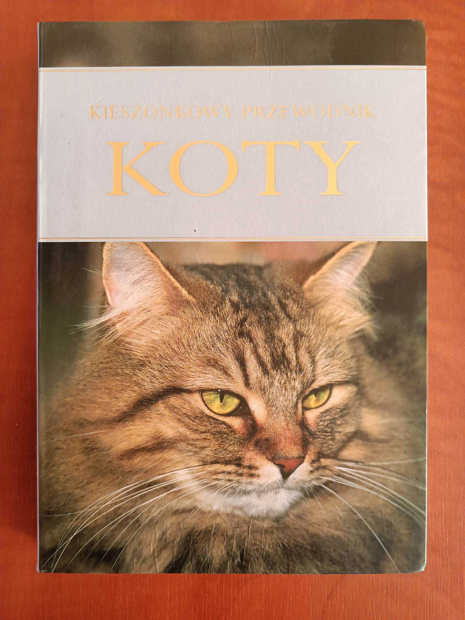 Koty. Kieszonkowy przewodnik