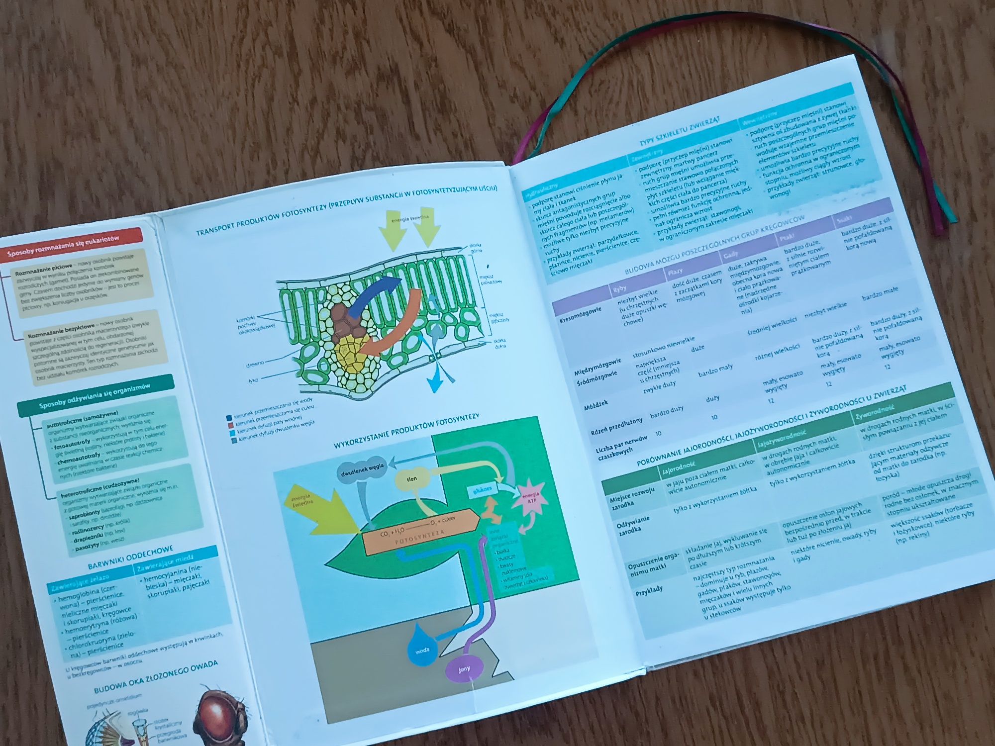 Biologia Matura 2017 Vademecum Operon