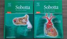 Atlas anatomii człowieka Sobotta Tom 1-2