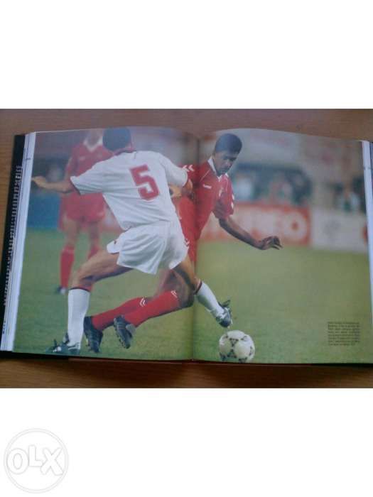 Livro l annee du football