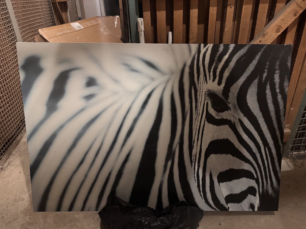 Obraz zebra od ikea…………………………………………………………………………………………………………………………………..