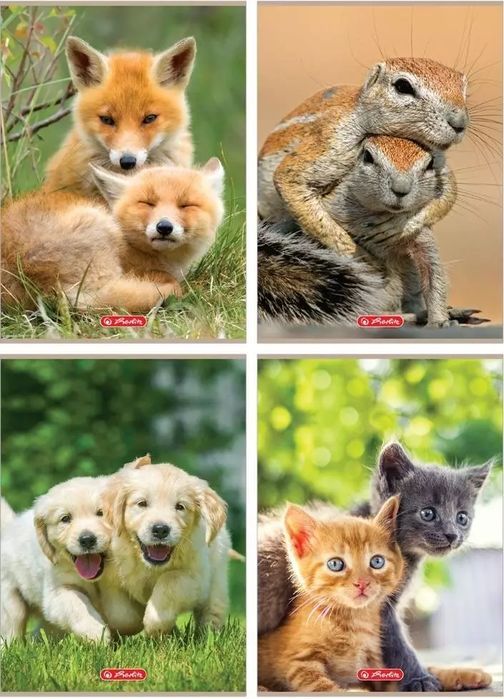 Zeszyt A4/32K kratka Animals (10szt). Herlitz. Nowy Produkt