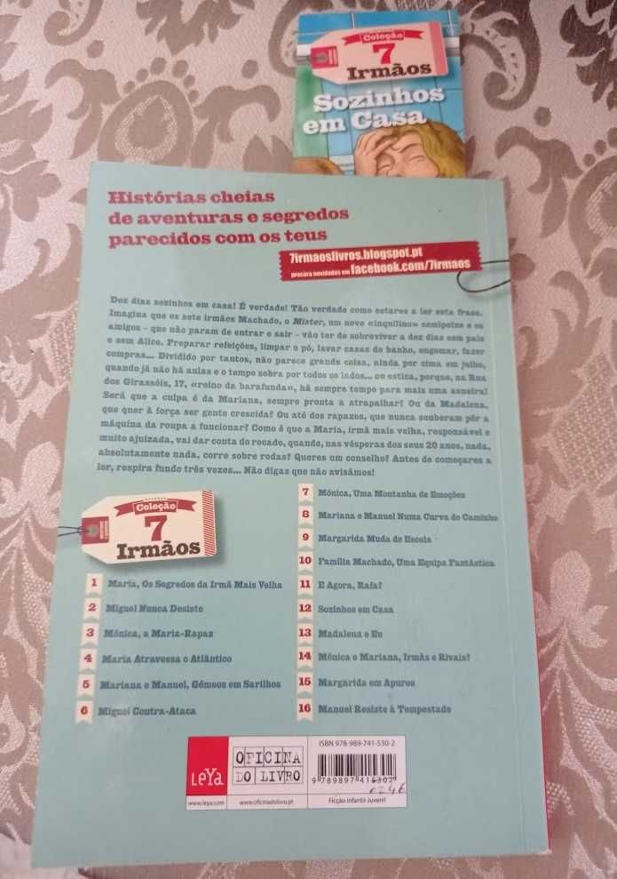 Coleção 7 irmãos - Sozinhos em Casa  Aventuras e peripécias.