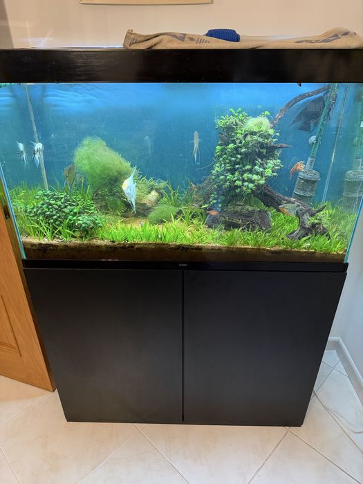 Aquário completo 200L com móvel