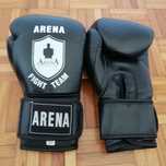 Kit desportivo muay thai