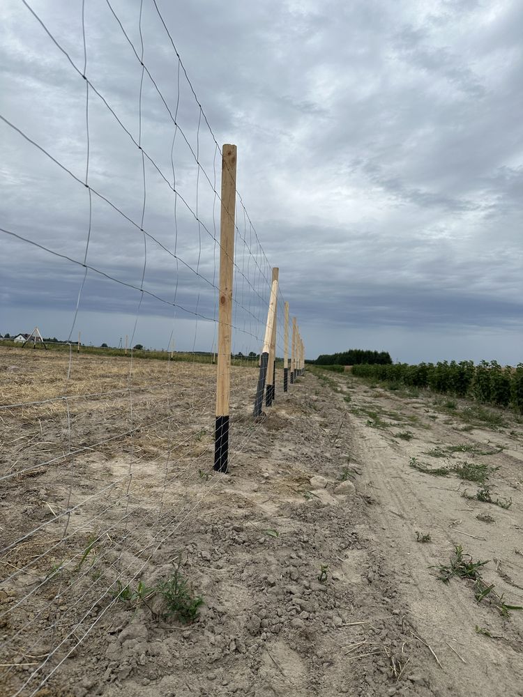 Ogrodzenie budowlane na słupkach toczonych /tymczasowe/leśne