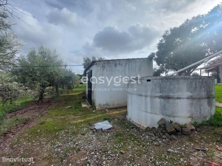 Terreno Rústico com 13.750m2, com Apoio Agrícola registado e Olival