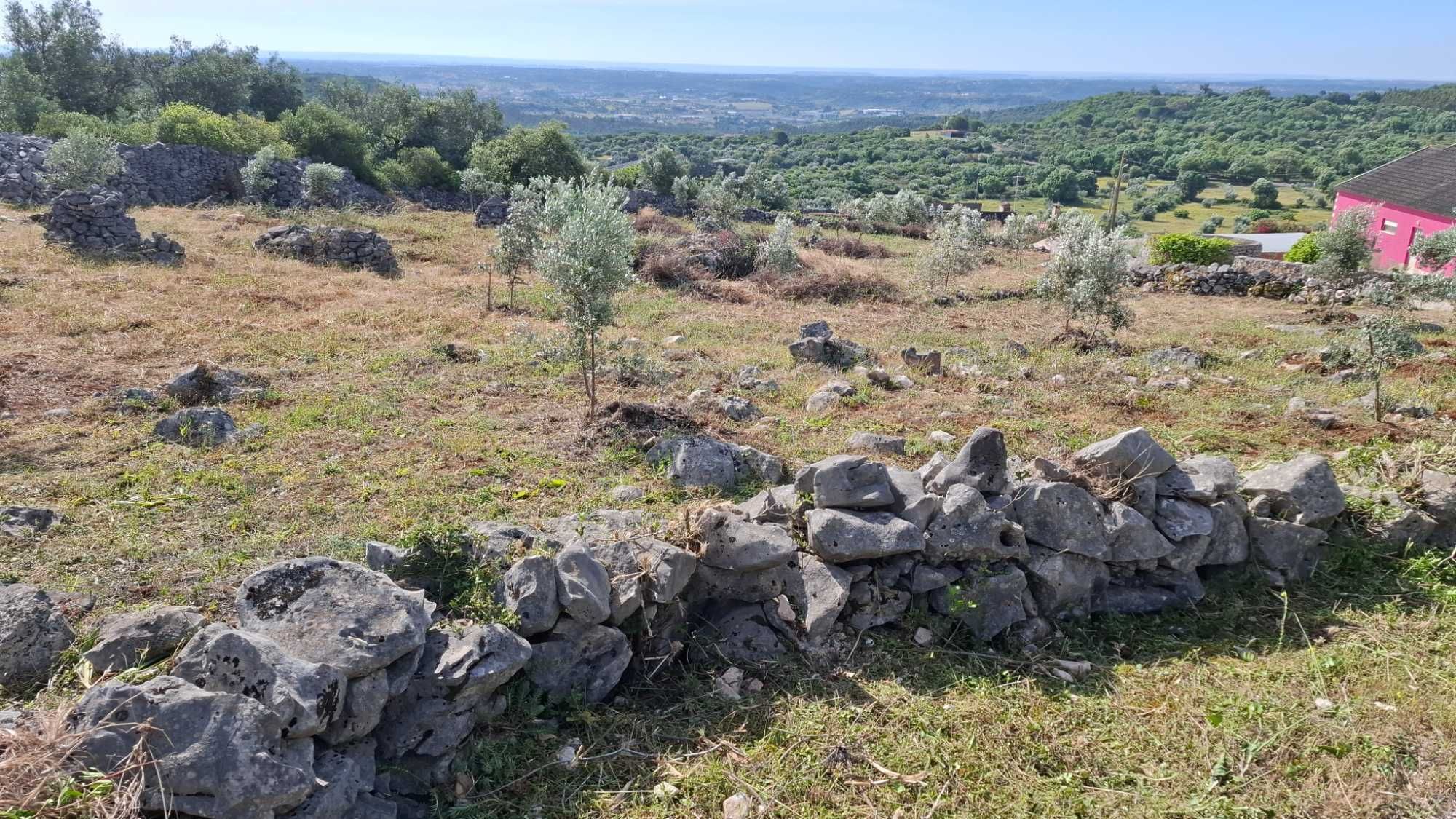 Terreno Rural, para venda nos Casais da Moreta. Monsanto ACN Santarém.
