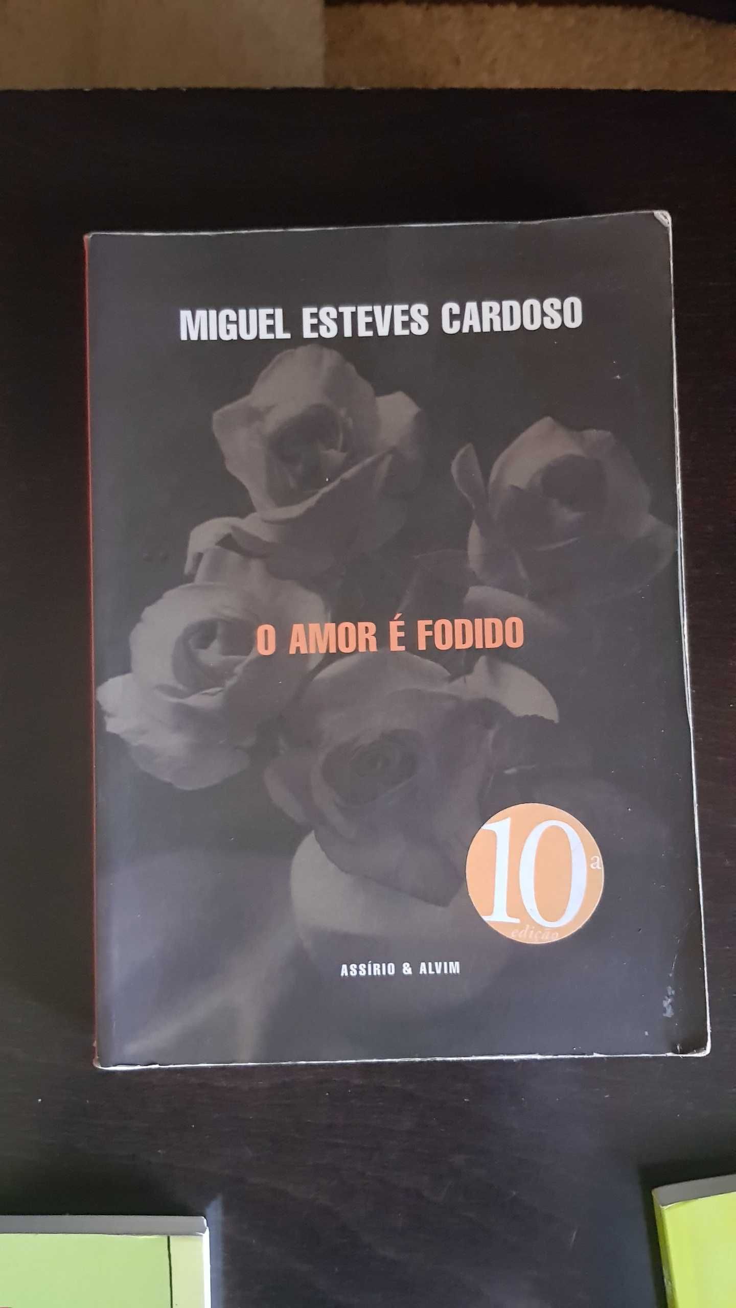 Livro do do autor Miguel Esteves Cardoso