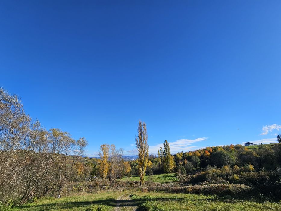 Prywatna Dolina 5 ha – Twoje Miejsce na Ziemi