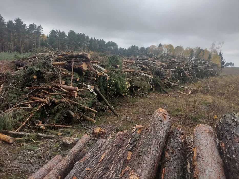 Ścinka drzew Mulczowanie Czyszczenie działek