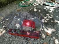 Gaiola para hamster