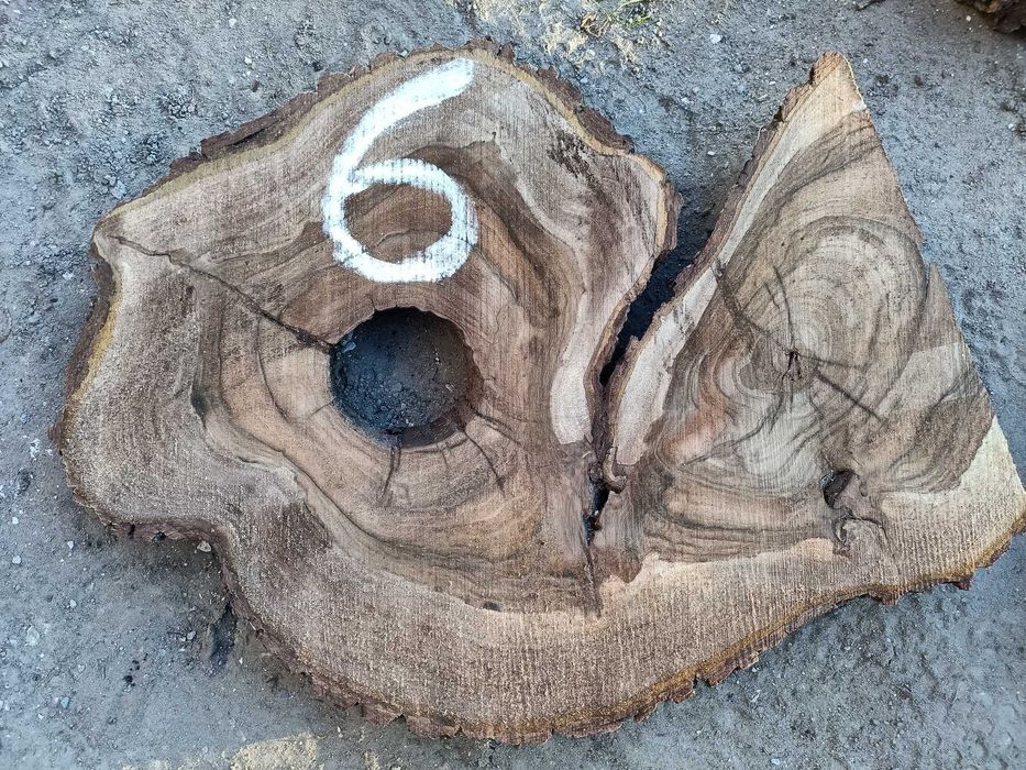 Plastry orzech wloski 7cm żywica stolik