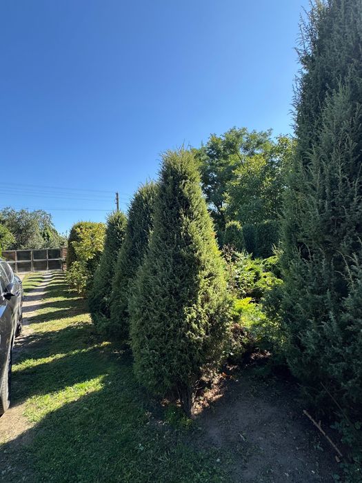 Оренда 3 кім будинок Рудно