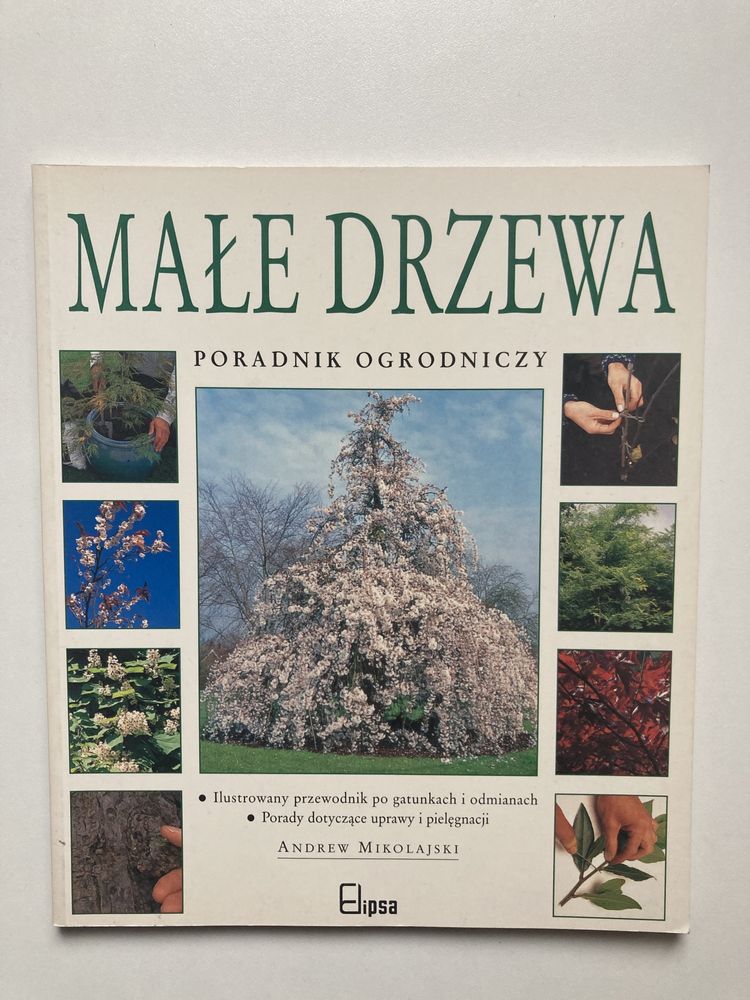 Małe drzewa - poradnik ogrodniczy