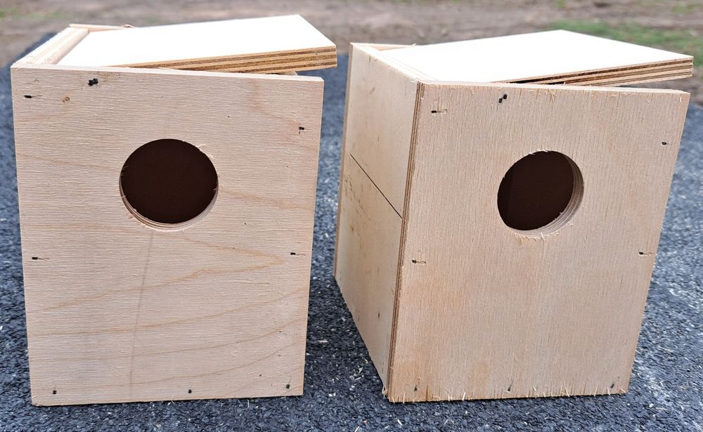 Ninhos para periquitos