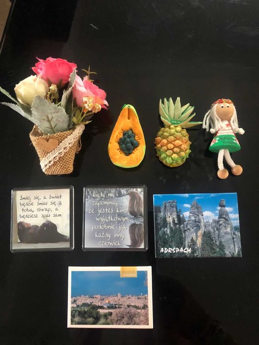 magnesy na lodówkę zestaw 11 szt