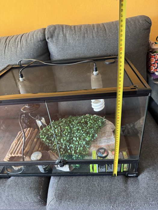 Terrario para Repteis