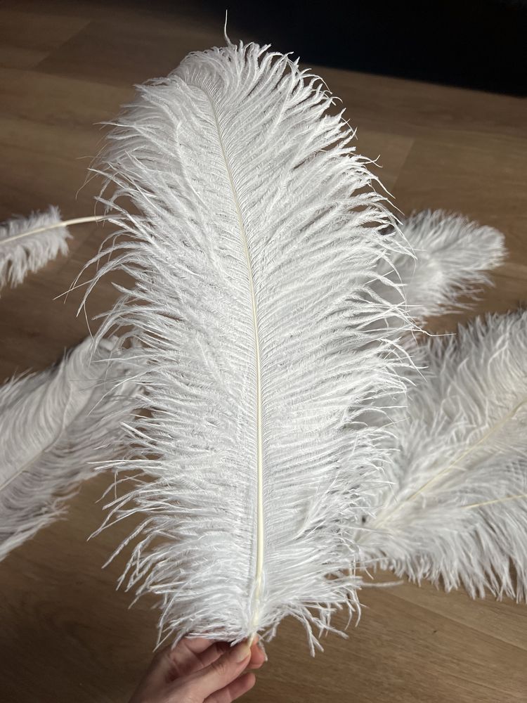 Перо страуса белое, пірʼя біле 50-55 см