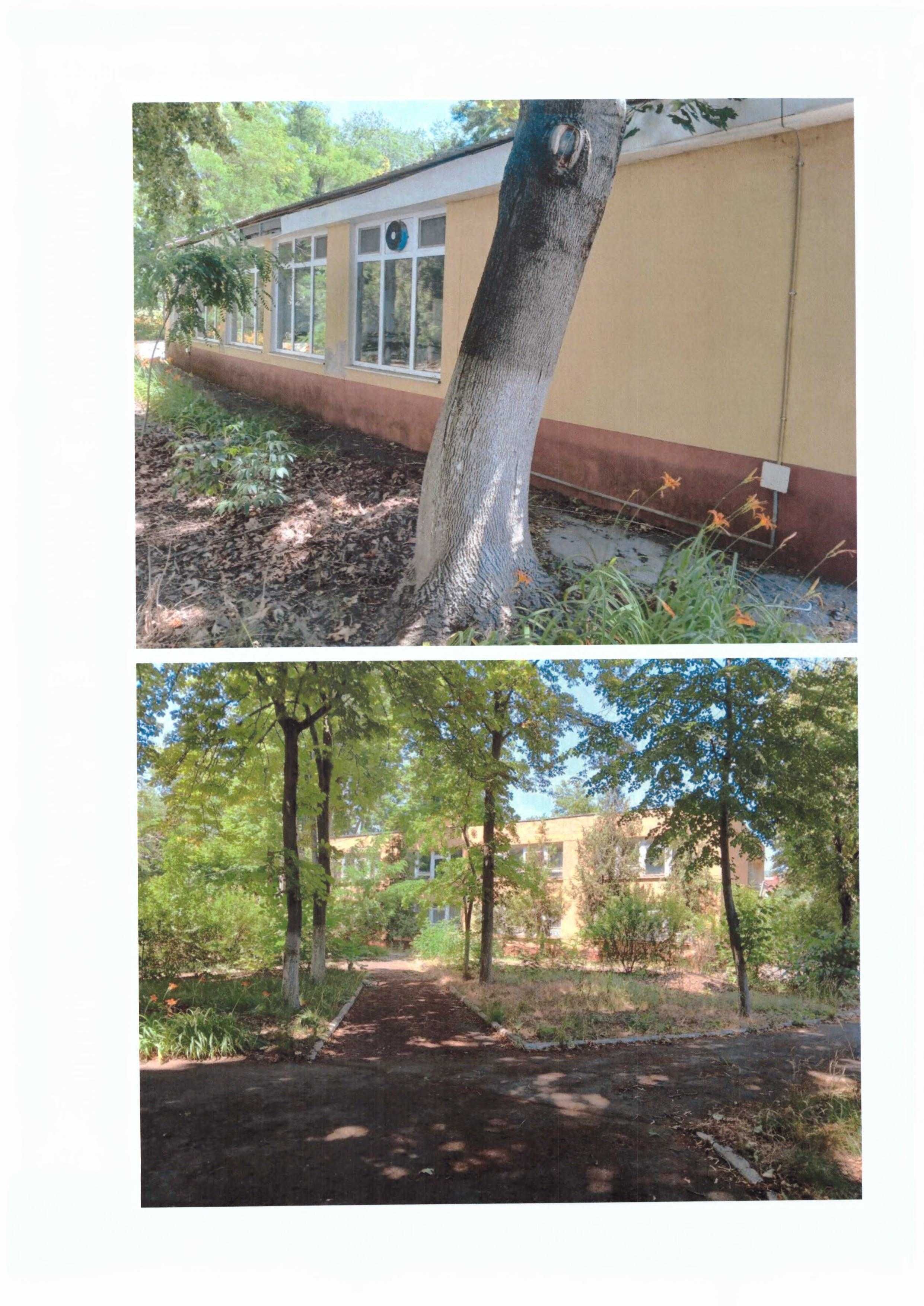 Дитячий оздоровчий центр - м. Одеса