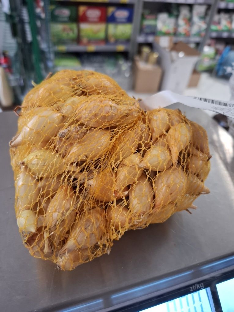 Cebula dymka zimowa Senshyu Yellow 08/21mm 500g