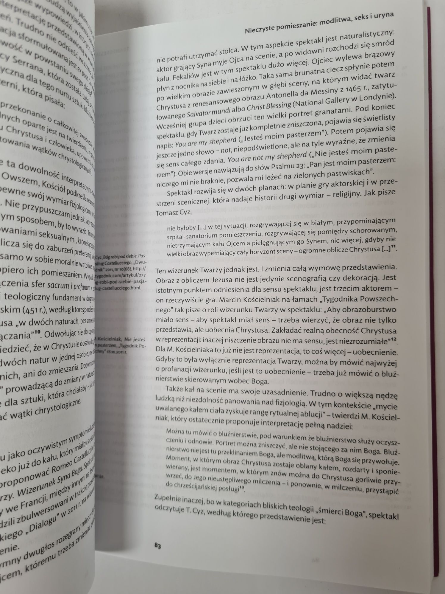 Bluźnierstwo. Między grzechem a przestępstwem - Ks. Andrzej Draguła