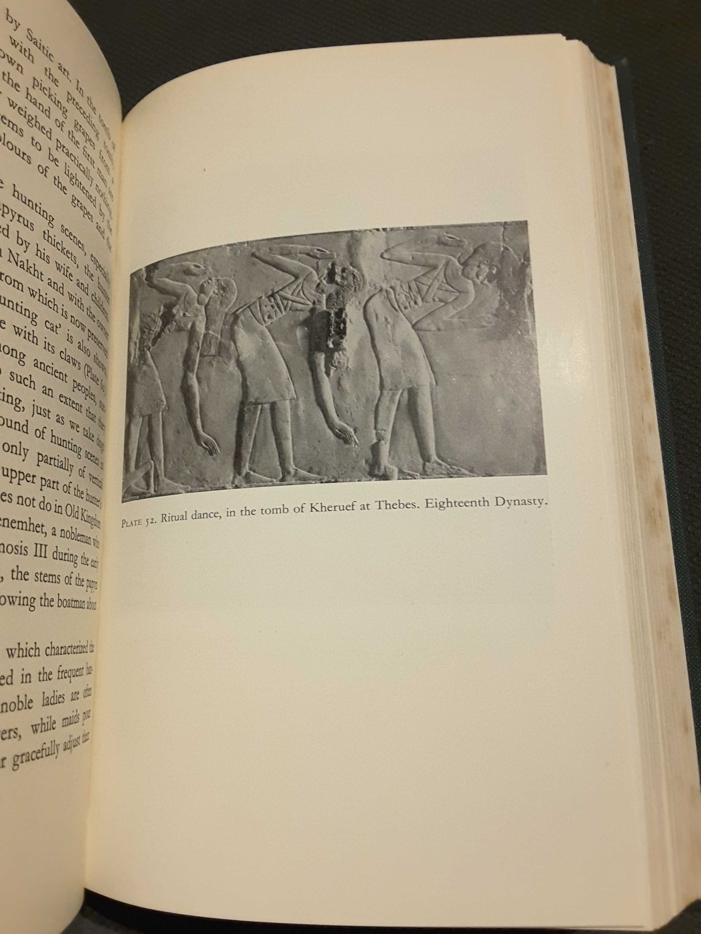 História Antes de Heródoto / Egyptian Art. An Introduction