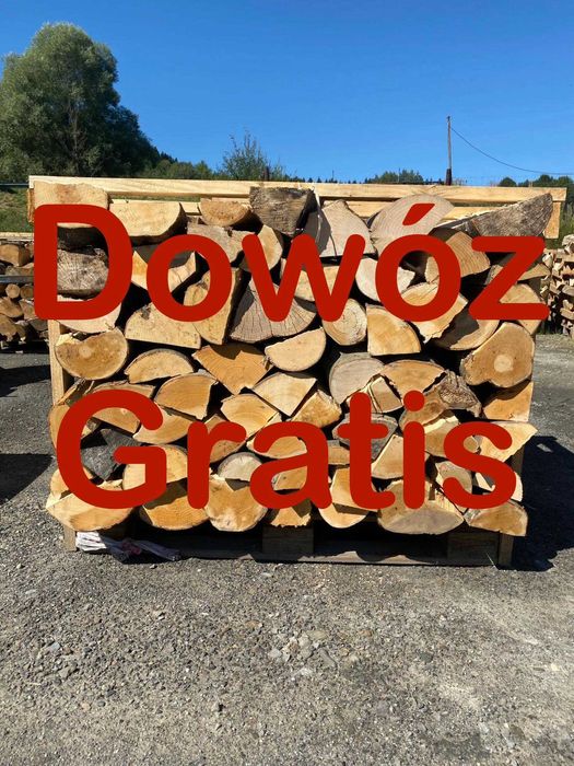 Drzewo / Drewno kominkowe / Drewno łupane / Opał
