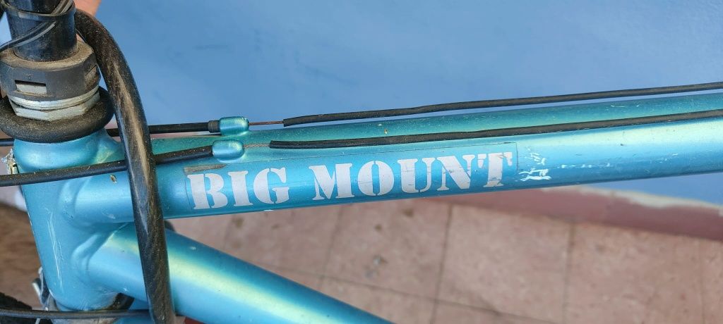 Bicicleta big mount
