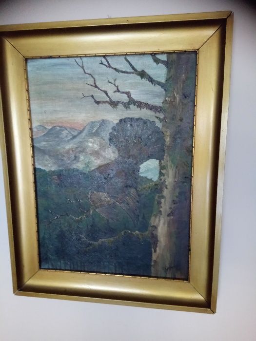 Obraz olejny - Głuszec - F.HAMMANN