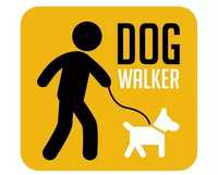 Dog Walker / Passeio com Animais