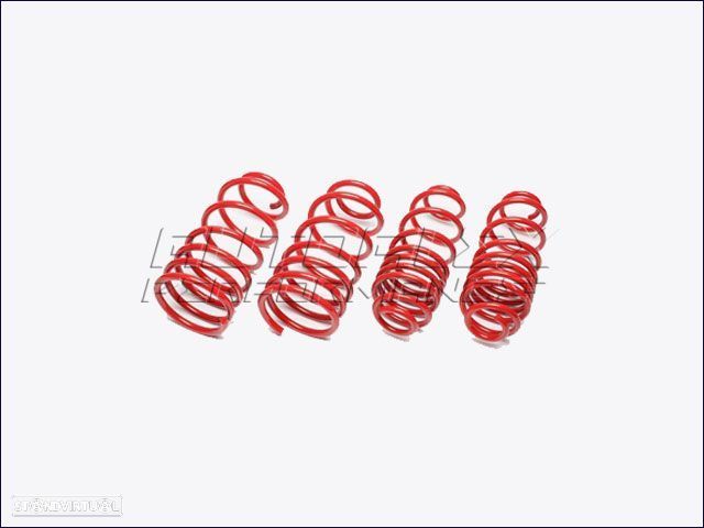 Molas Suspensão Smart Fortwo 25/25MM  EVOSM002F