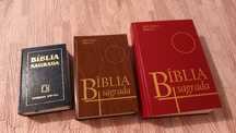 Livro Biblia sagrada
