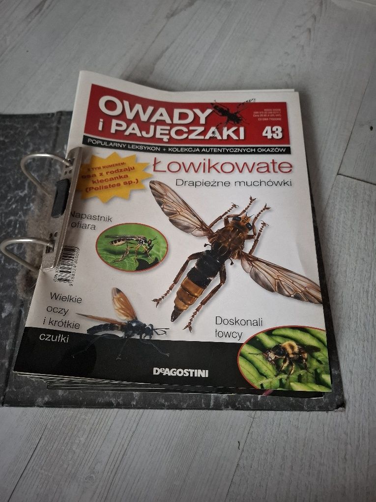 Owady i Pajęczaki (DeAgostini). Okazy + Gazetki