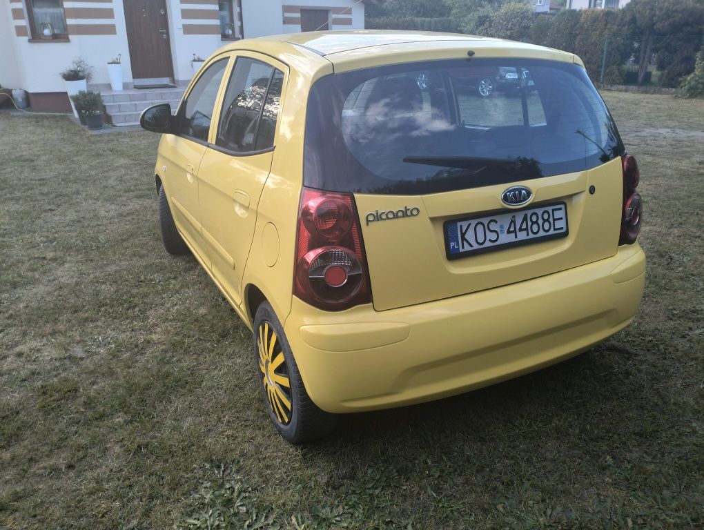 Kia Picanto Automat Gas Klima Pierwszy Właściciel