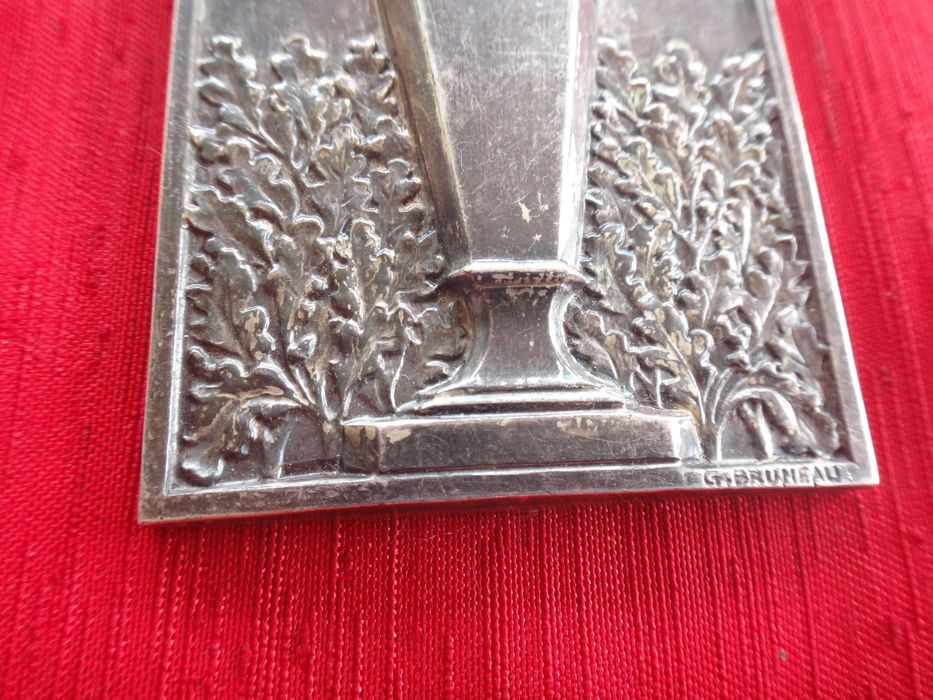 Srebrny medal - srebro