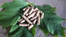 Pelet Pellet 6 MM Promocja w kwietniu